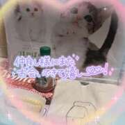 ヒメ日記 2024/02/04 13:17 投稿 みゆ プロフィール姫路