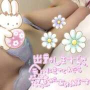 ヒメ日記 2025/03/07 09:23 投稿 みゆ プロフィール姫路