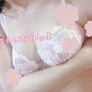 ヒメ日記 2025/09/02 08:04 投稿 みゆ プロフィール姫路