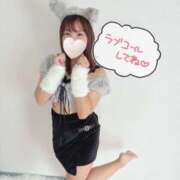 ヒメ日記 2025/11/18 08:26 投稿 みゆ プロフィール姫路