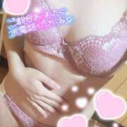 ヒメ日記 2025/02/15 09:11 投稿 ミユ ギャルズネットワーク 姫路