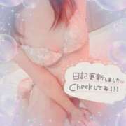 ヒメ日記 2025/04/06 14:22 投稿 ミユ ギャルズネットワーク 姫路