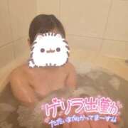 ヒメ日記 2025/04/12 12:53 投稿 ミユ ギャルズネットワーク 姫路