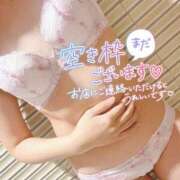 ヒメ日記 2025/06/29 09:13 投稿 ミユ ギャルズネットワーク 姫路