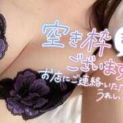 ヒメ日記 2025/09/03 09:15 投稿 ミユ ギャルズネットワーク 姫路