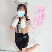 ヒメ日記 2025/11/07 08:03 投稿 ミユ ギャルズネットワーク 姫路