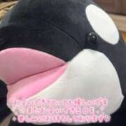 ヒメ日記 2026/01/17 16:36 投稿 ミユ ギャルズネットワーク 姫路