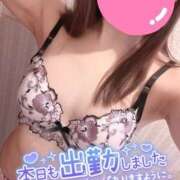 ヒメ日記 2026/02/15 10:30 投稿 ミユ ギャルズネットワーク 姫路