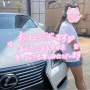 ヒメ日記 2026/03/19 08:00 投稿 ミユ ギャルズネットワーク 姫路