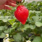 ヒメ日記 2026/02/16 10:42 投稿 ヒトミ ヴィーナス(金津園)