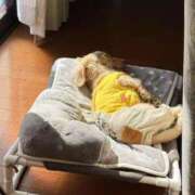 ヒメ日記 2026/02/21 11:48 投稿 ヒトミ ヴィーナス(金津園)