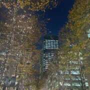 ヒメ日記 2024/12/11 19:09 投稿 ここみ 成田人妻花壇