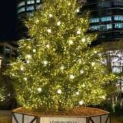 ヒメ日記 2024/12/23 10:39 投稿 ここみ 成田人妻花壇