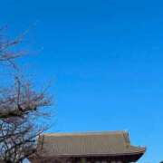 ヒメ日記 2025/01/02 11:11 投稿 ここみ 成田人妻花壇