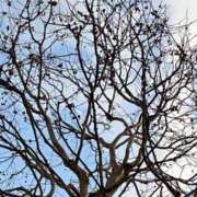 ヒメ日記 2025/02/19 10:16 投稿 ここみ 成田人妻花壇