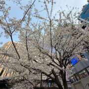 ヒメ日記 2025/03/26 15:50 投稿 ここみ 成田人妻花壇