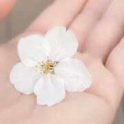 ヒメ日記 2025/04/01 01:41 投稿 ここみ 成田人妻花壇