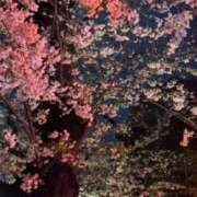 ヒメ日記 2025/04/03 21:54 投稿 ここみ 成田人妻花壇