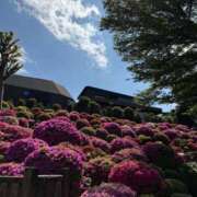 ヒメ日記 2025/04/29 18:07 投稿 ここみ 成田人妻花壇