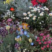 ヒメ日記 2025/04/30 19:24 投稿 ここみ 成田人妻花壇