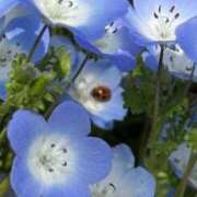 ヒメ日記 2025/05/01 08:58 投稿 ここみ 成田人妻花壇