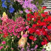 ヒメ日記 2025/05/08 10:13 投稿 ここみ 成田人妻花壇