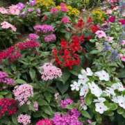 ヒメ日記 2025/07/06 13:30 投稿 ここみ 成田人妻花壇