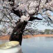 ここみ [お題]from:宴会部長さん 成田人妻花壇