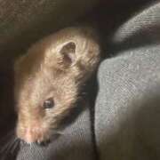 ヒメ日記 2025/05/28 15:58 投稿 りんか ラッシュアワー