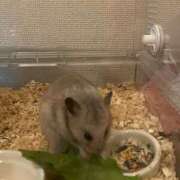 ヒメ日記 2025/06/29 14:12 投稿 りんか ラッシュアワー