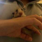 ヒメ日記 2025/08/10 18:44 投稿 りんか ラッシュアワー