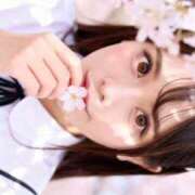 さくら 🌸 アロー