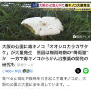 ヒメ日記 2026/07/13 18:09 投稿 はるな 素人妻御奉仕倶楽部Hip's松戸店