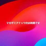 ヒメ日記 2024/04/07 01:24 投稿 らいあ 沖縄素人図鑑