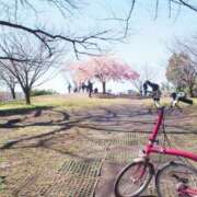 ヒメ日記 2025/03/11 12:11 投稿 ゆうき 成田人妻花壇