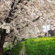 ヒメ日記 2025/04/05 13:32 投稿 ゆうき 成田人妻花壇