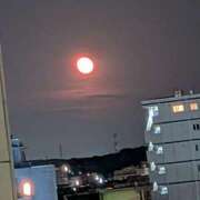 ヒメ日記 2025/11/07 19:03 投稿 ゆうき 成田人妻花壇