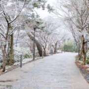 ヒメ日記 2026/02/08 21:31 投稿 ゆうき 成田人妻花壇