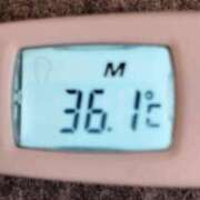 ヒメ日記 2025/03/05 11:30 投稿 りんか【色白スレンダー系】 STAR-スター-