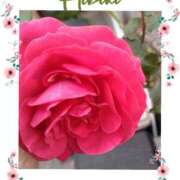 ヒメ日記 2025/02/03 21:30 投稿 羽山 響 五十路マダム富山店(カサブランカグループ)