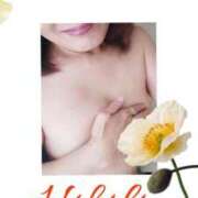 ヒメ日記 2025/04/15 13:30 投稿 羽山 響 五十路マダム富山店(カサブランカグループ)