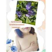 ヒメ日記 2025/04/21 12:06 投稿 羽山 響 五十路マダム富山店(カサブランカグループ)