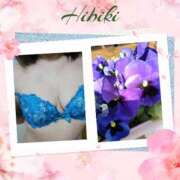 ヒメ日記 2025/04/23 12:26 投稿 羽山 響 五十路マダム富山店(カサブランカグループ)