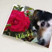 ヒメ日記 2025/05/16 17:08 投稿 羽山 響 五十路マダム富山店(カサブランカグループ)