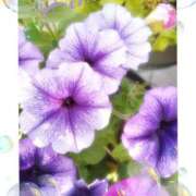 ヒメ日記 2025/06/14 15:48 投稿 羽山 響 五十路マダム富山店(カサブランカグループ)