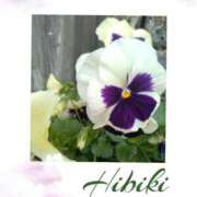 ヒメ日記 2025/06/17 14:38 投稿 羽山 響 五十路マダム富山店(カサブランカグループ)