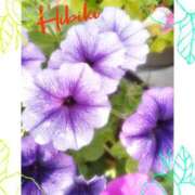 ヒメ日記 2025/06/30 21:24 投稿 羽山 響 五十路マダム富山店(カサブランカグループ)