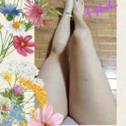 ヒメ日記 2025/07/01 14:54 投稿 羽山 響 五十路マダム富山店(カサブランカグループ)