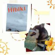 ヒメ日記 2025/07/11 08:24 投稿 羽山 響 五十路マダム富山店(カサブランカグループ)