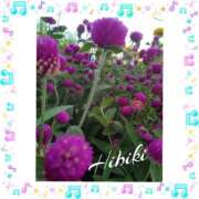 ヒメ日記 2025/07/28 16:32 投稿 羽山 響 五十路マダム富山店(カサブランカグループ)